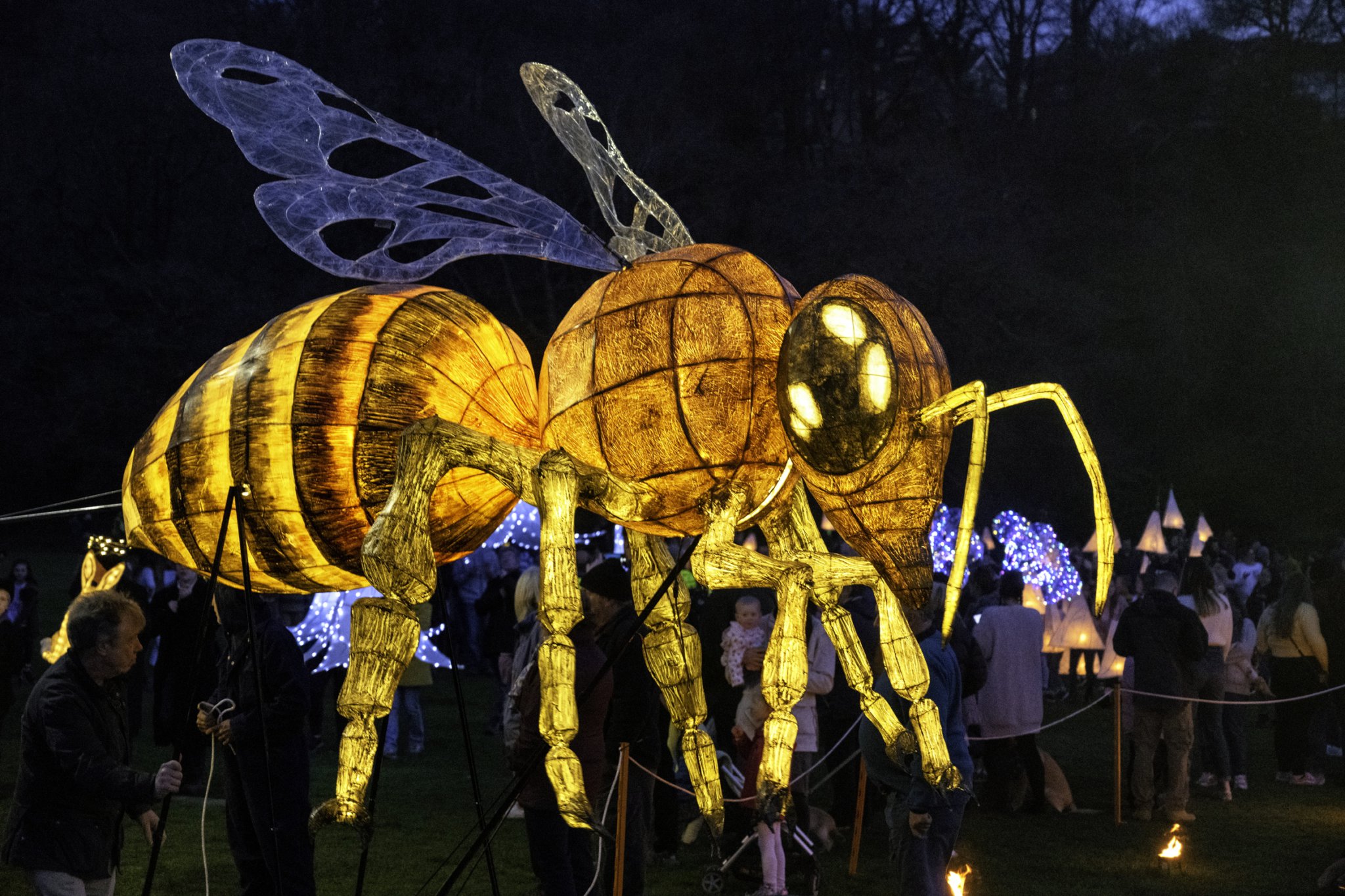 Lantern Procession set to return this February