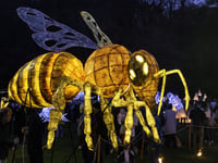 Lantern Procession set to return this February