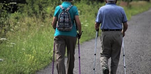 LETTER TO THE EDITOR: Get walking for your health