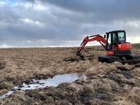 Peatland project to protect wildlife