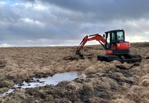 Peatland project to protect wildlife