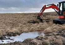 Peatland project to protect wildlife