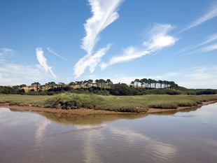 A new King’s National Nature Reserve launched in Devon