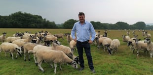 Farming being ‘deprioritised’, MP says