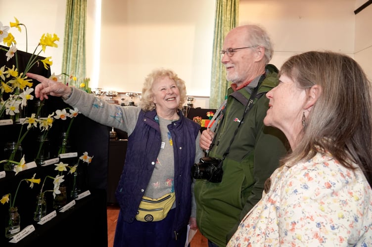 Bere Ferrers Spring Flower Show 