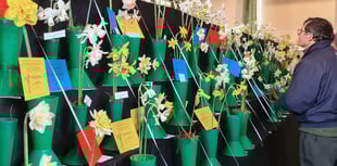 Bere Ferrers Spring Flower Show