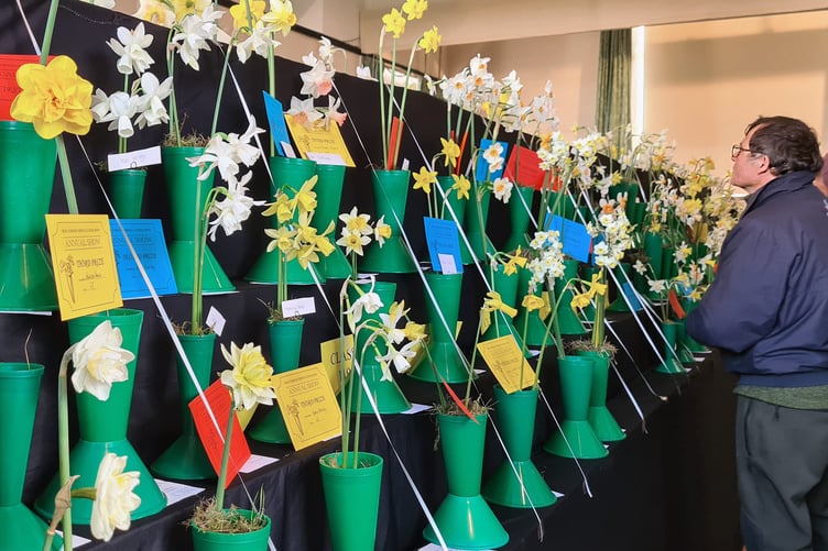 Bere Ferrers Spring Flower Show