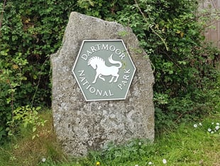 Dartmoor National Park reaffirms dedication to Race to Zero