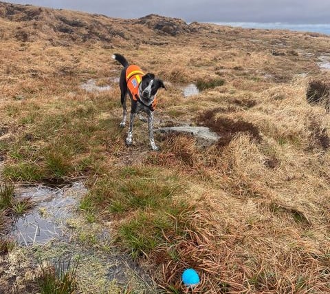 Dartmoor search team rescues walkers in bad weather