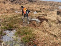 Dartmoor search team rescues walkers in bad weather