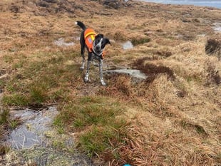 Dartmoor search team rescues walkers in bad weather