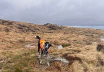 Dartmoor search team rescues walkers in bad weather