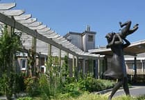 North Dartmoor health meeting urges community to feed back to NHS consultation