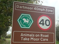 Speeding vehicles spoil Dartmoor for tourists