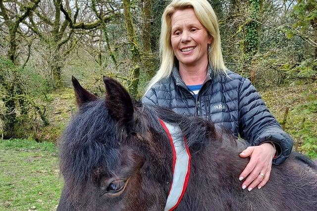 Dartmoor livestock to get life-saving collars