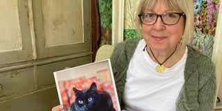 Grieving cat owner flags up vet concerns