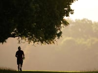 Adults in Torridge are less active than their neighbours