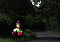 Charity reveals an average 15 horses killed on South West roads every year