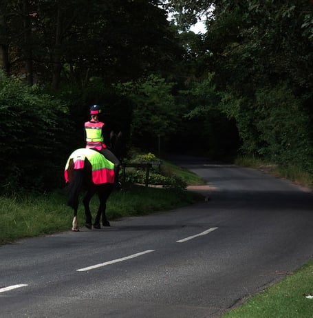 A horse and rider in high vis on a rural road