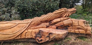 Historic tree sculpture attraction