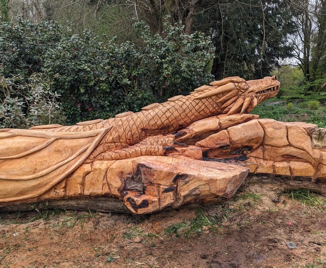 Historic tree sculpture attraction