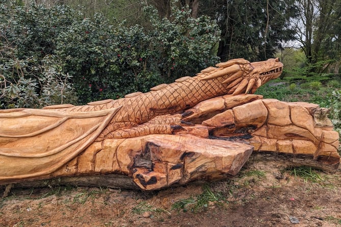 An old fallen tree has a new lease of life as a carved dragon attraction in Buckland Monachorum.