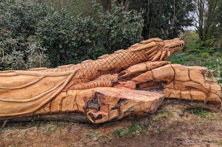 An old fallen tree has a new lease of life as a carved dragon attraction in Buckland Monachorum.