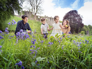 Okehampton Castle's Bluebell Sunday returns for 2024