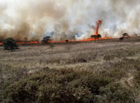 Call for vigilance after wildfire surge on Dartmoor