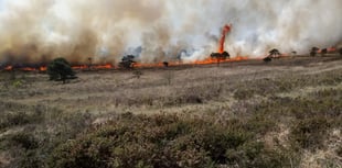 Call for vigilance after wildfire surge on Dartmoor