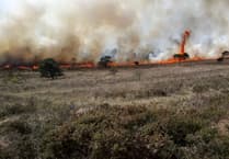Call for vigilance after wildfire surge on Dartmoor