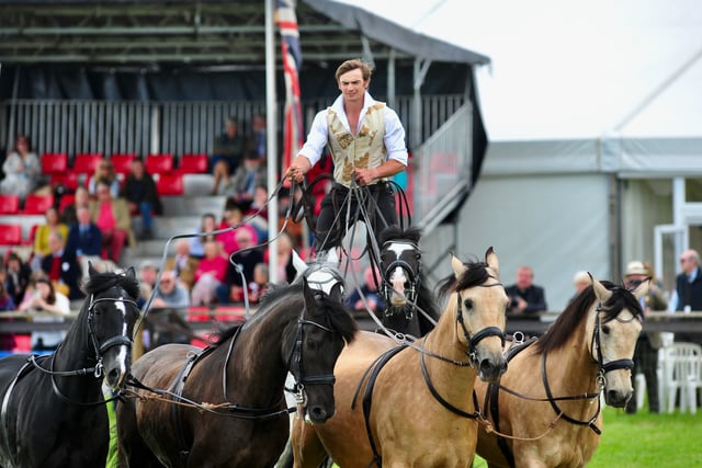 Daring horse performer set to wow at Devon County Show