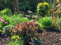 Open garden fundraiser for Hospiscare
