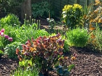 Open garden fundraiser for Hospiscare