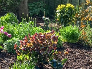 Open garden fundraiser for Hospiscare