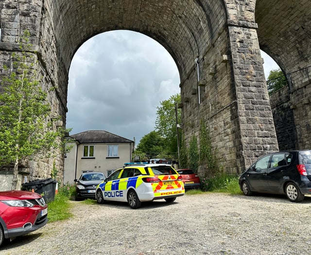 Inquest opened into man found dead below Tavistock viaduct