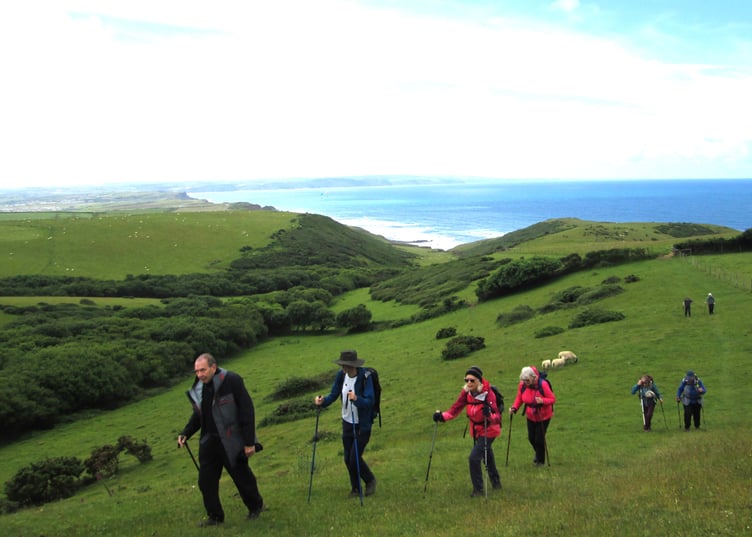 Okehampton Ramblers on their walk on the cliffs near Bude
