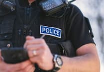 Horse put down after overnight attack in Cheriton Bishop