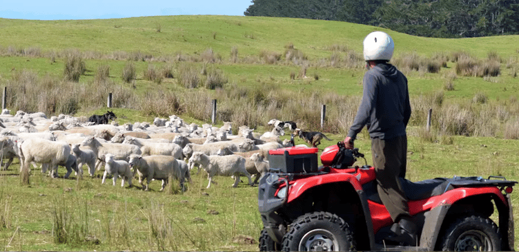 Quadbikes and other equipment has been stolen from farms on Exmoor.