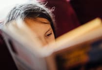 Devon Libraries summer quest for kids