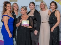 Storybook Dads wins national award