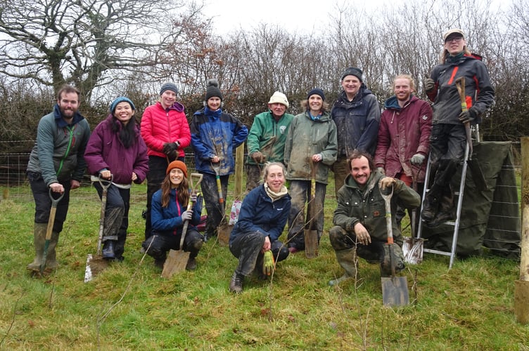 34,000 Trees to be planted on the Moors