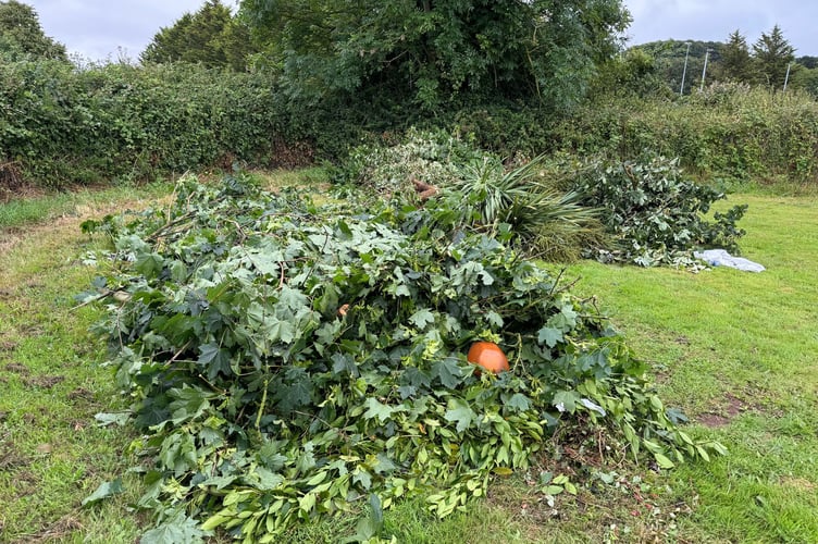 Large piles of garden waste have been tipped at The Rec.  AQ 8050