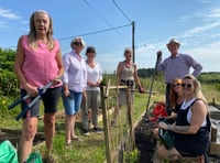 Princetown community garden makes national shortlist