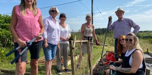 Princetown community garden makes national shortlist