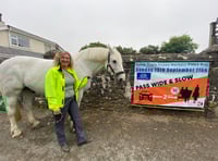 Man charged after collision in which child horse rider injured