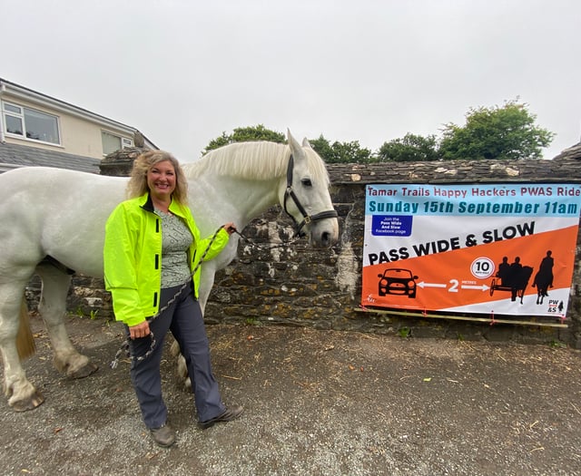 Man charged after collision in which child horse rider injured