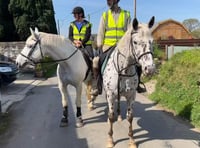Horse riders' driver safety plea