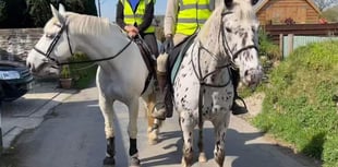 Horse riders' driver safety plea