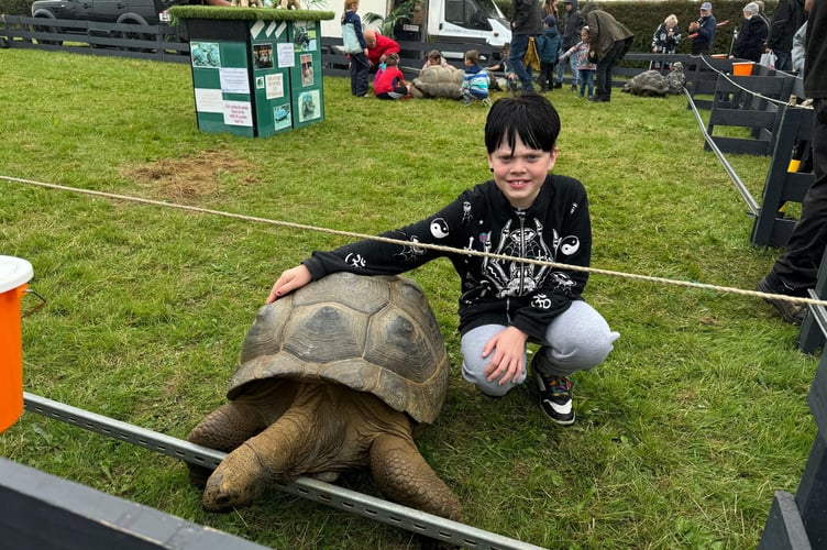 Bob Hughes (11), from North Tawton enjoyed meeting one of the giant tortoises.  AQ 9384
